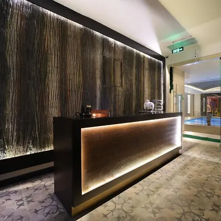 The Time Marina 4* Provincia di Istanbul
